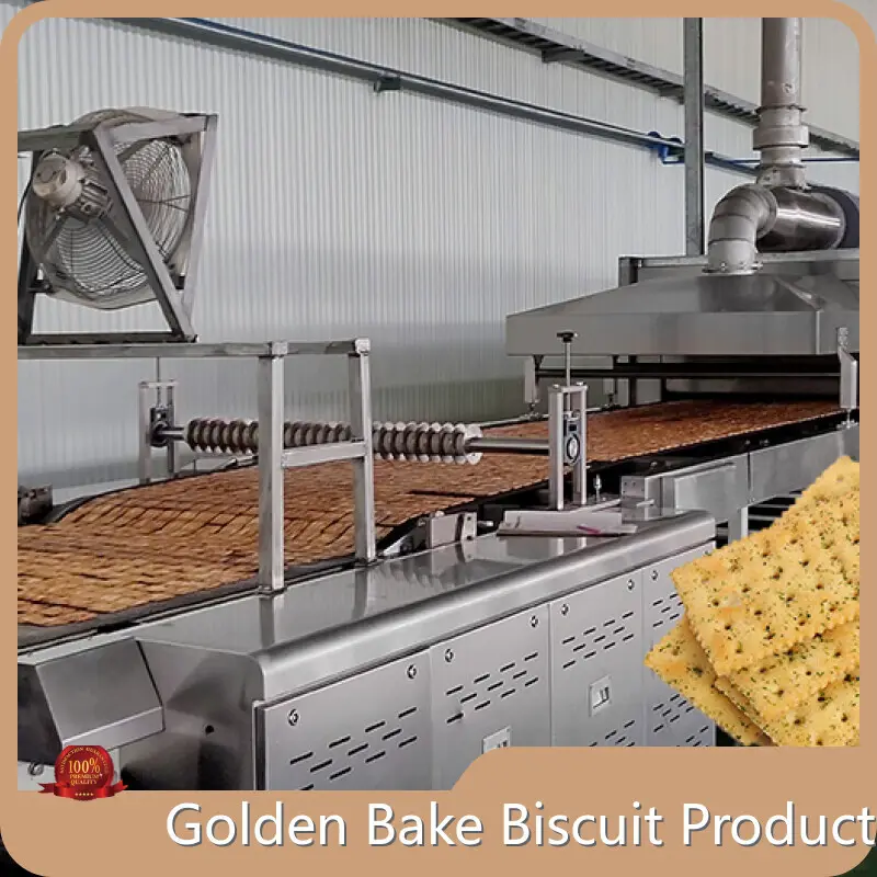 Industrial Convection Oven for Sale by Golden Bake 1