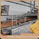 Industrial Convection Oven for Sale by Golden Bake 1