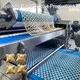Center Filled Biscuit Production Line for Hello Panda Biscuit - Golden Bake-1 1