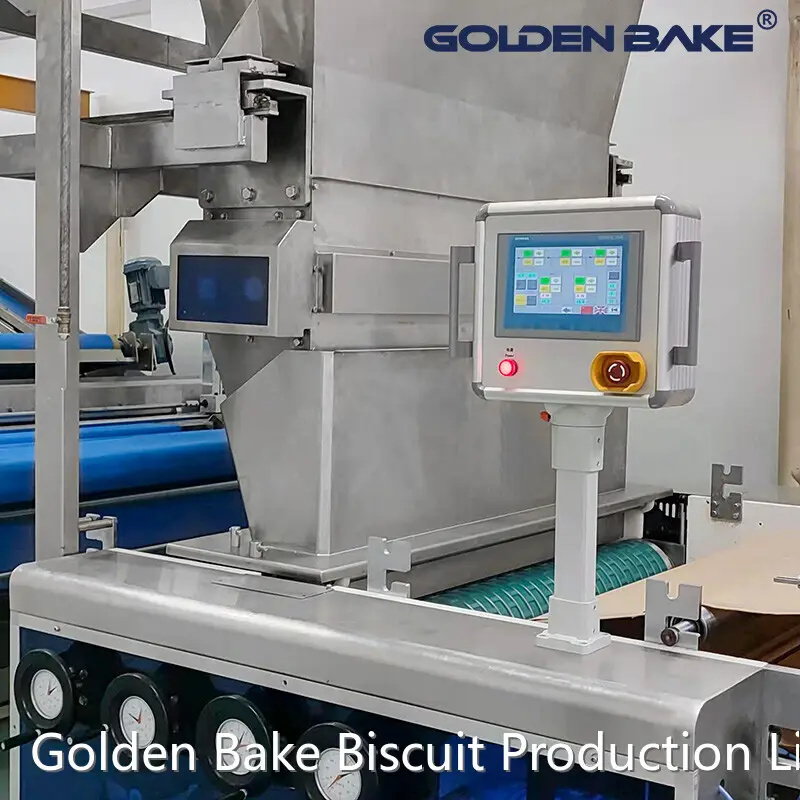 Straight Line Conveyors Golden Bake - - Golden Bake 1