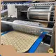 Vibratory Feeder Manufacturers T/T by Golden Bake 1