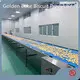 Chocolate Cooling Machine L/C - - Golden Bake 1