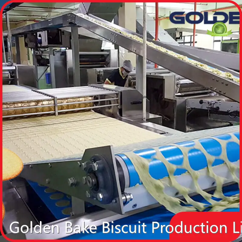 Biscuit Moulding Machine - - Golden Bake 1
