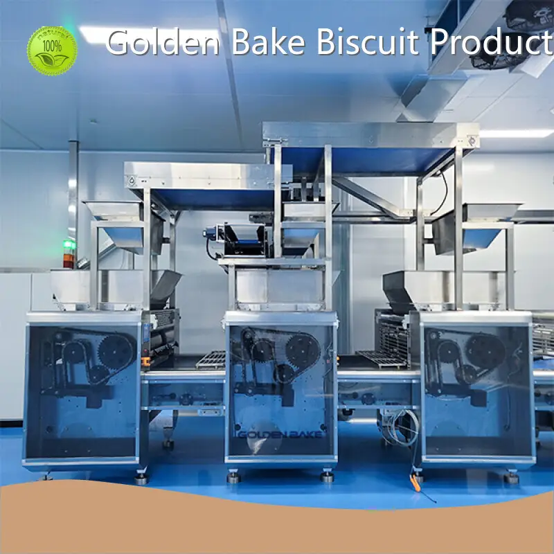 Z Type Conveyor Wholesale - Golden Bake 1