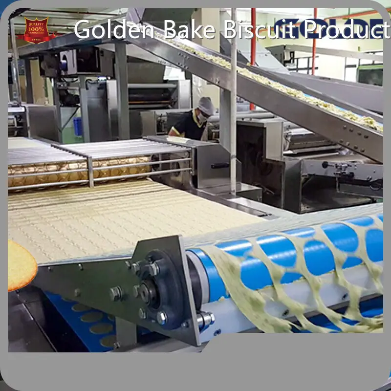 Biscuit Oven Price by Golden Bake 1