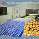 Commercial Cookie Dough Mixer by Golden Bake 1