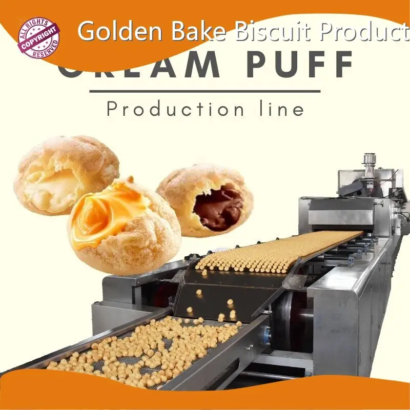 Biscuit Manufacturing Equipment L/C Wholesale - Golden Bake 1