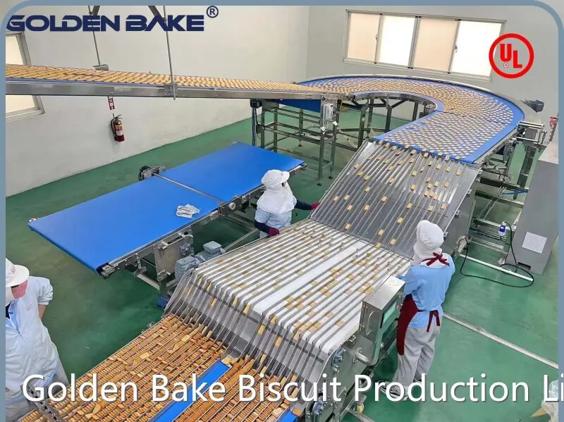Buy Cookie Molds L/C by Golden Bake 1