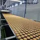 Industrial Convection Oven by Golden Bake 4