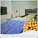 Industrial Gas Oven for Baking by Golden Bake 1