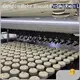 Golden Bake Best Dough Kneading Machine Price List 1
