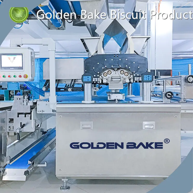 Industrial Convection Oven by Golden Bake 1
