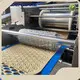 Bakery Biscuits Making Machines Gloden Bake Small Scale Biscuit Production Line Wholesale - Golden Bake 1