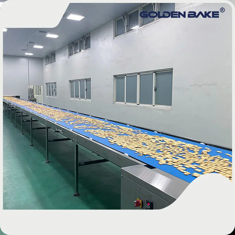 Bakery Equipment Dough Mixer by Golden Bake-1 1