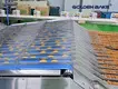 Golden Bake Biscuit Packaging Machine Manufacturers Price List-1 4