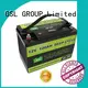 GSL ENERGY energy saving marine and rv battery customization for car 1
