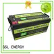 12v boat battery ion for car GSL ENERGY 1