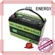 GSL ENERGY safer lifepo4 rv battery iron for car 1