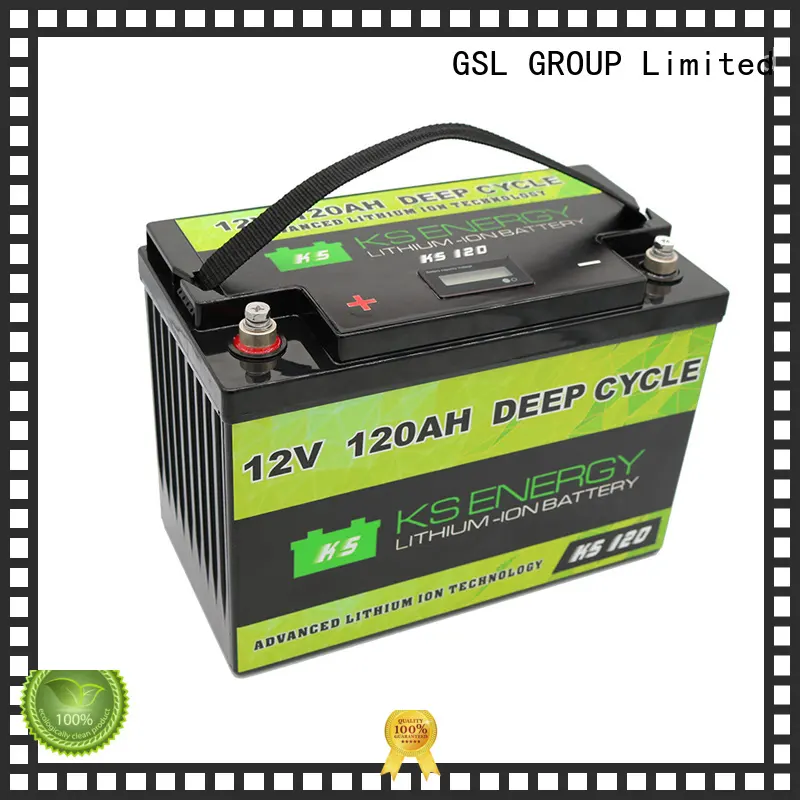 LiFePO4 Rechargeable Batteries 3.2v Baseline Battery 12V 120Ah Lithium Phosphate With LED Capacity Display1 1