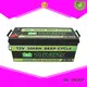 12V 300AH Deep Cycle Li Ion Battery For RV Camping Car Caravans2 1