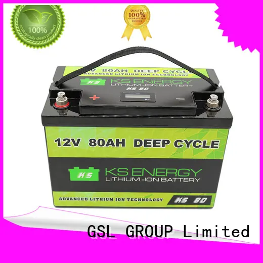 liion lifepo4 battery charger for motorcycle GSL ENERGY 1