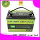 liion lifepo4 battery charger for motorcycle GSL ENERGY 1