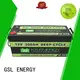 leadaci lifepo4 battery 12v 100ah carts for motorcycle GSL ENERGY 1