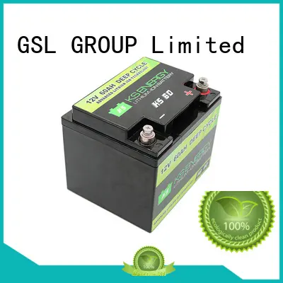 GSL ENERGY advanced technologies dual purpose marine battery free sample for car 1