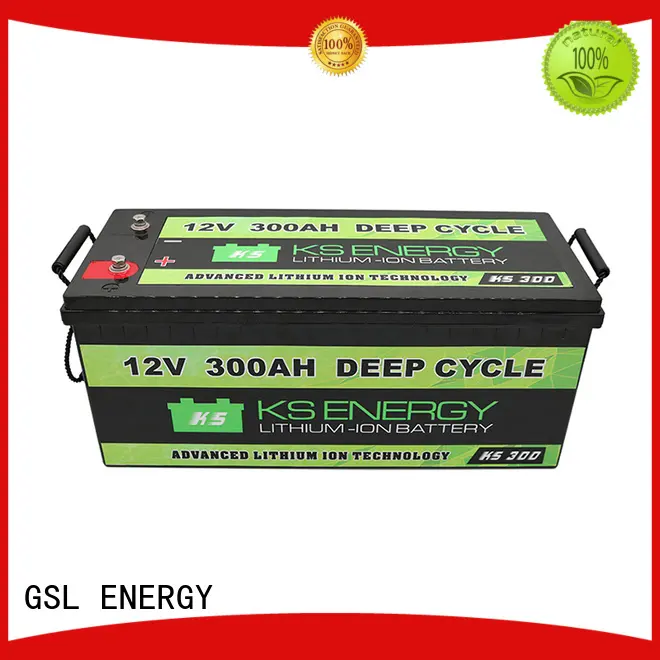 GSL ENERGY off-grid lithium ion battery charger 12v led display 1