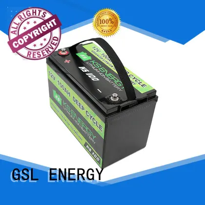 GSL ENERGY deep cycle lifepo4 battery charger for car 1