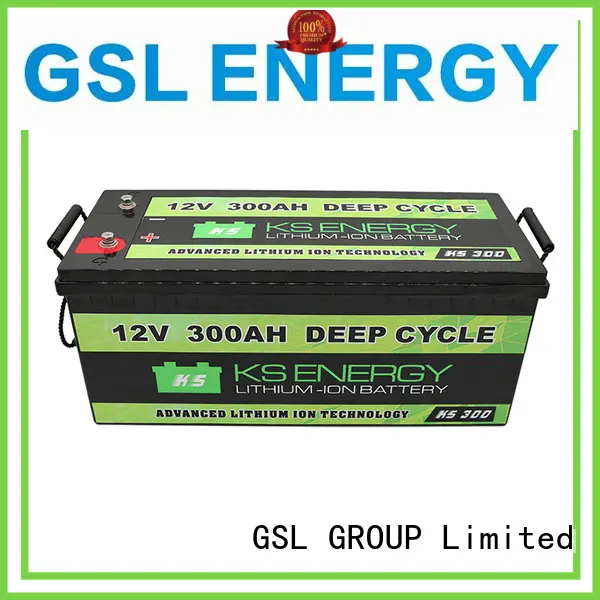 rechargeable lifepo4 battery 100ah order now for camping 1