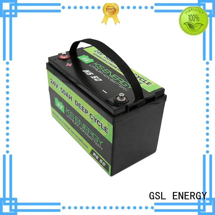 GSL ENERGY light weight 24 volt battery charger for military 1