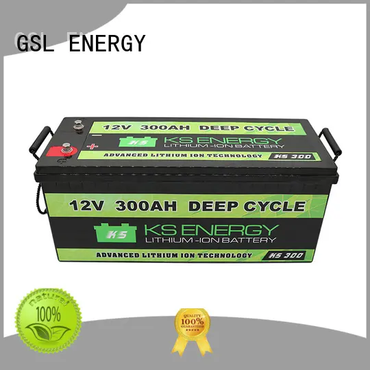 rechargeable lifepo4 battery 12v 100ah free sample for camping 1