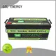 rechargeable lifepo4 battery 12v 100ah free sample for camping 1
