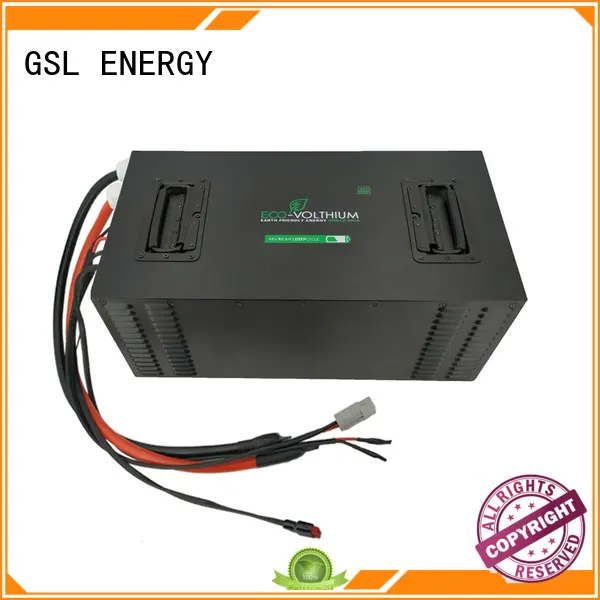 professional golf cart battery charger manufacturer for home 1