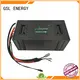 professional golf cart battery charger manufacturer for home 1