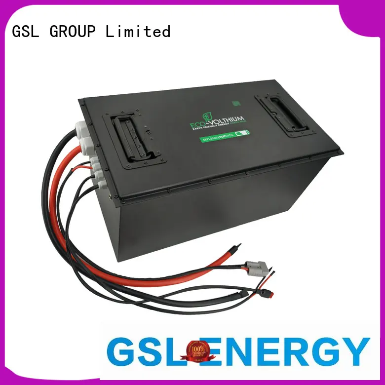 professional golf cart battery charger for car 1