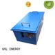 GSL ENERGY golf cart battery charger for home 1