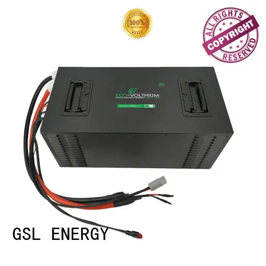 professional golf cart battery charger industry for home 1