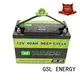 GSL ENERGY solar battery 12v for car 1
