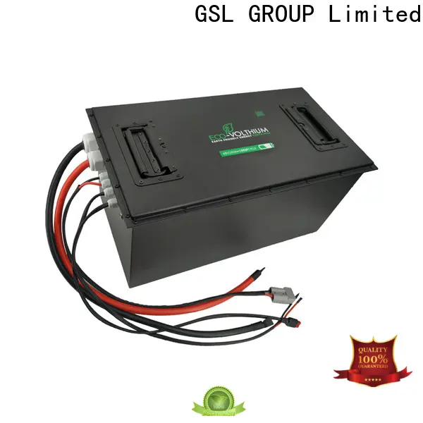 oem & odm golf cart battery charger powerful top-performance 1