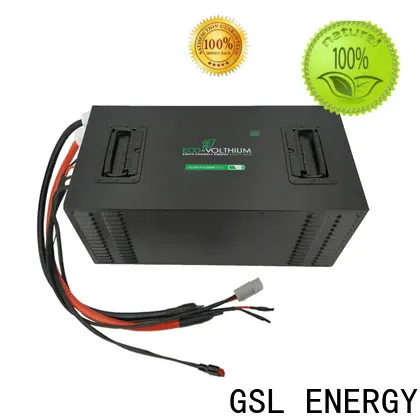 oem & odm golf cart battery charger powerful top-performance1 1