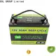 enviromental-friendly lifepo4 battery 12v free maintainence high performance1 1