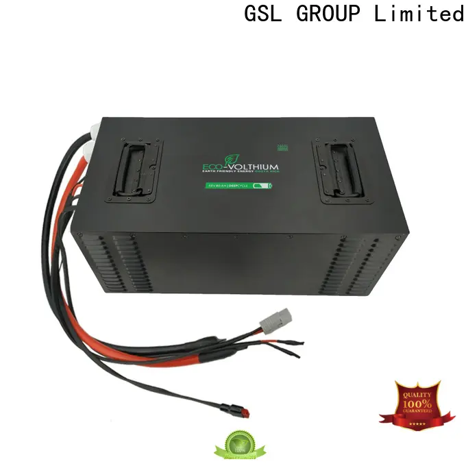 GSL ENERGY golf cart battery charger powerful top-performance 1
