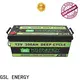 GSL ENERGY lifepo4 solar battery short time high performance 1