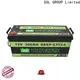 quality-assured lifepo4 battery 100ah free maintainence wide application 1