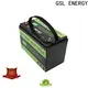 GSL ENERGY customized 24V lithium battery bulk supply 1