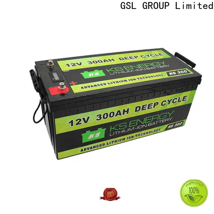 2020 hot-sale lifepo4 battery 12v short time high performance 1