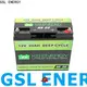 GSL ENERGY lifepo4 battery 12v free maintainence for camping car 1