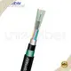 Waterproof Fiber Optic Cable 3-15 Working Days - - Unionfiber 1